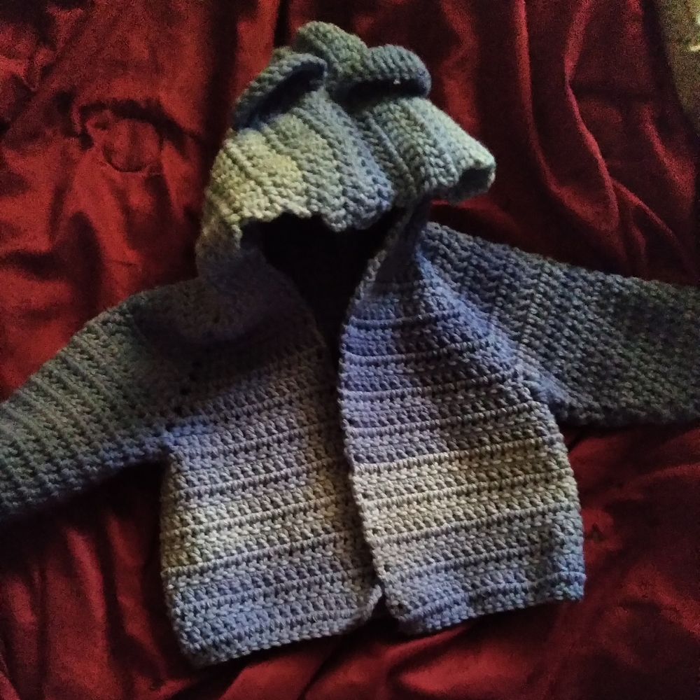 Baby Bear Hoodie